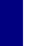 Navy/White(Matte)