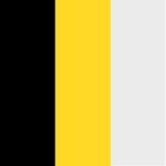 Black/Gold/Silver