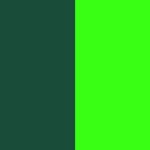 Emerald/Neon Green