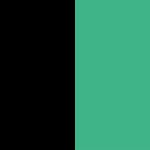 Black/Mint Green (Glossy)