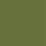 Medium Olive