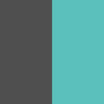 Grey/Mint Green