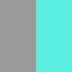 Neutral Grey / Turquoise