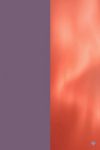 Dusty Purple / Living Coral