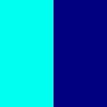 Aqua / Navy Blue