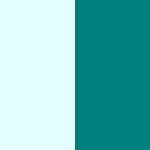 Light Cyan / Teal