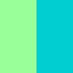 Mint Green / Dark Turquoise