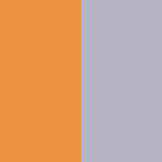 Orange/Silver