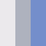 White/Grey/Coral Blue